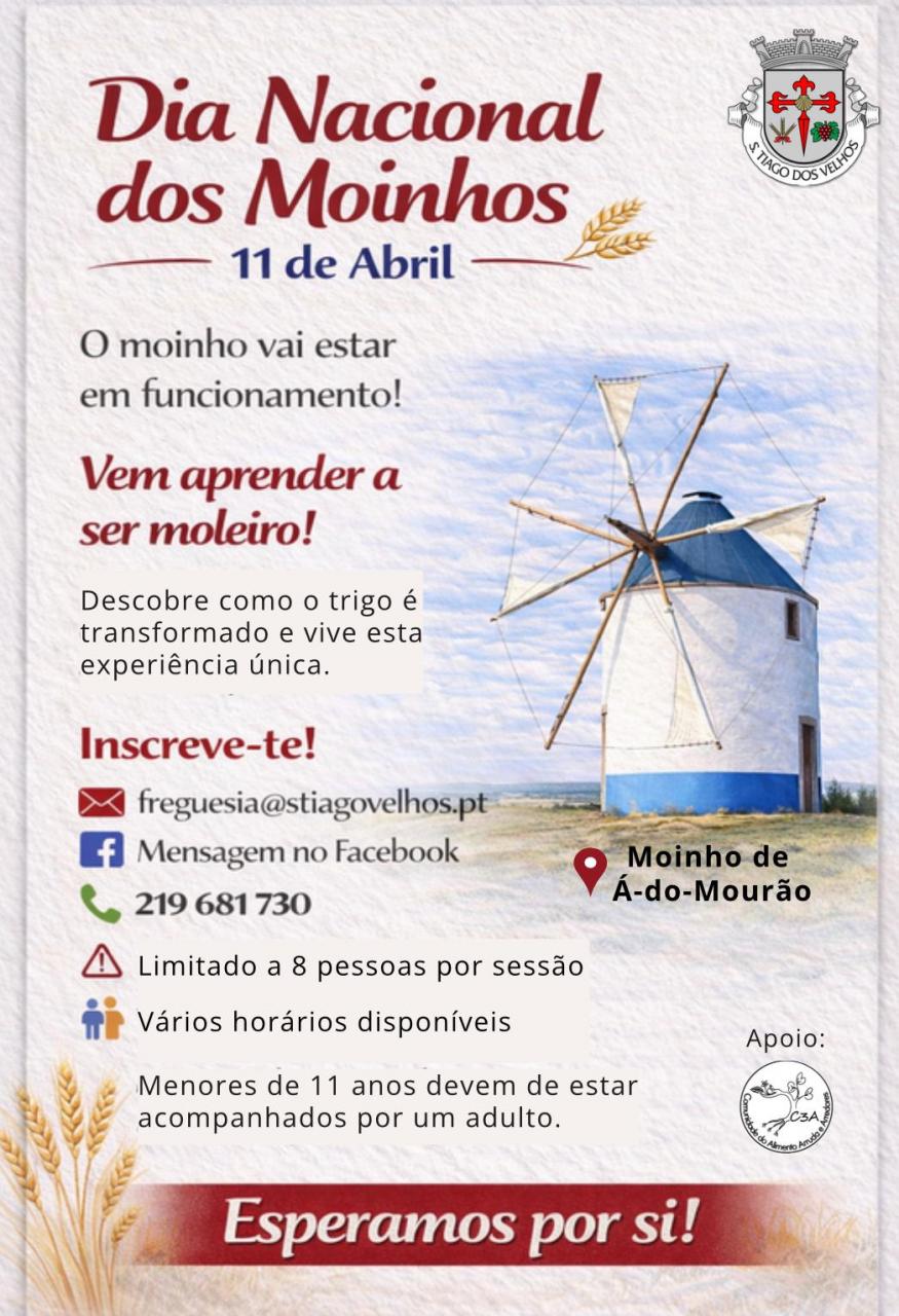 Dia Nacional dos Moinhos