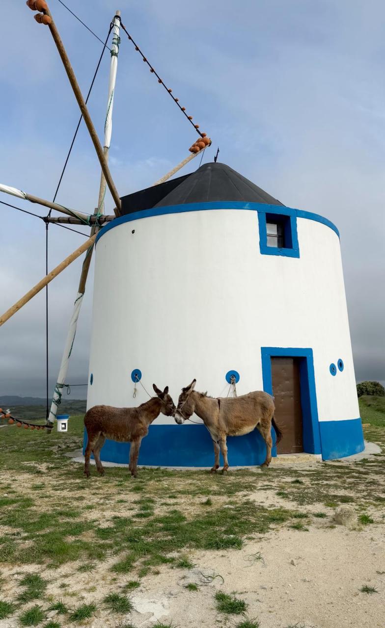 Visitas ao Moinho de &Agrave;-do-Mour&atilde;o